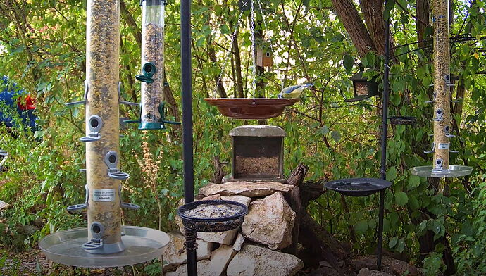 Snap_2022.08.18_18h55m57s_012_