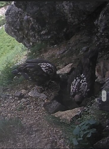 Screenshot_20220709-131121_Samsung Internet