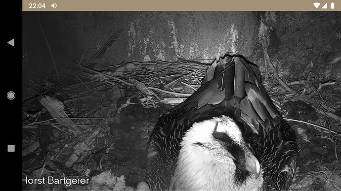 Screenshot_20221015-220459