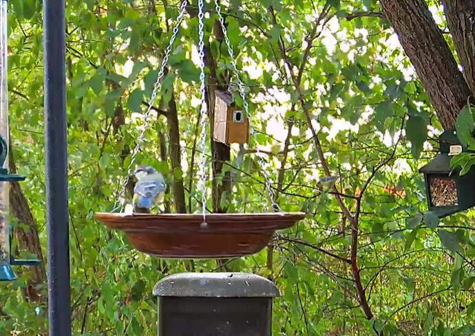 Snap_2022.08.10_15h57m33s_013_