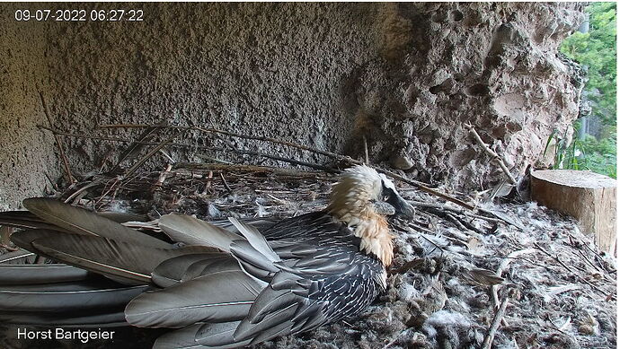 Snap_2022.07.09_06h28m06s_009_