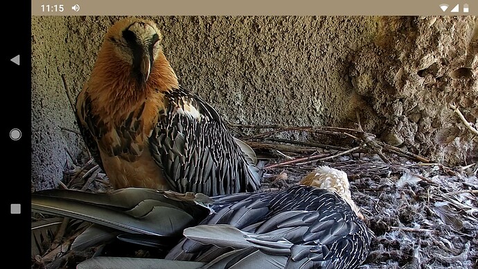 Screenshot_20220709-111511