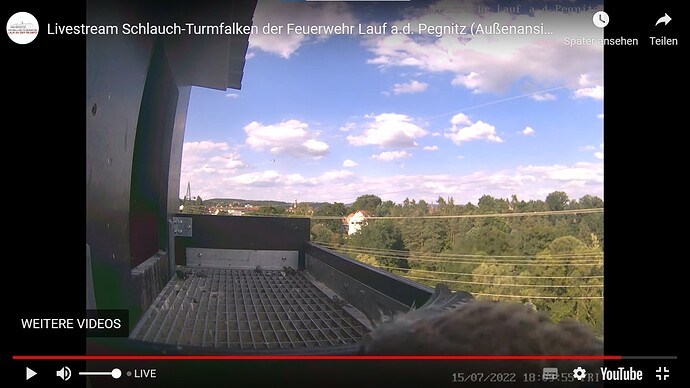 Screenshot 2022-07-15 193008