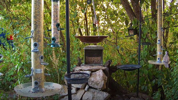 Snap_2022.08.16_19h57m41s_020_