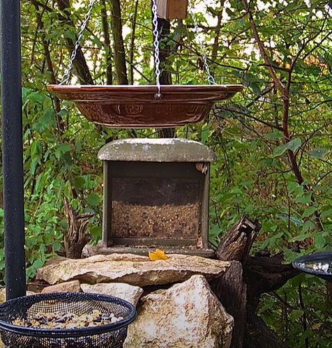 Snap_2022.08.21_07h37m40s_003_