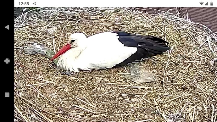 Screenshot_20220716-125522