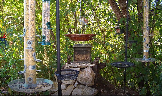 Snap_2022.08.11_13h29m00s_017_