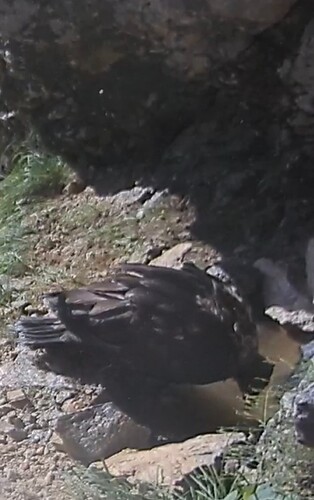 Screenshot_20220630-074210_Edge