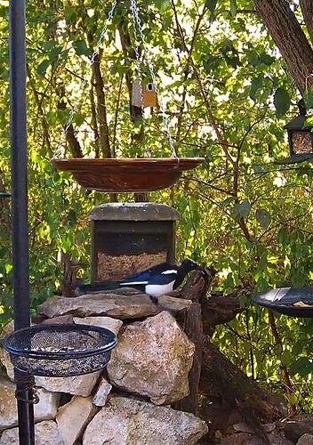 Screenshot_20220815-171736_Chrome