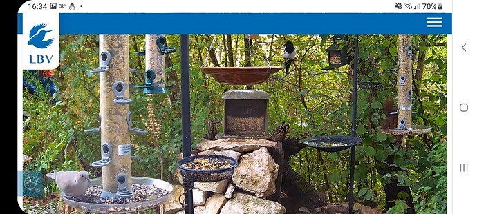 Screenshot_20220820-163411_Chrome