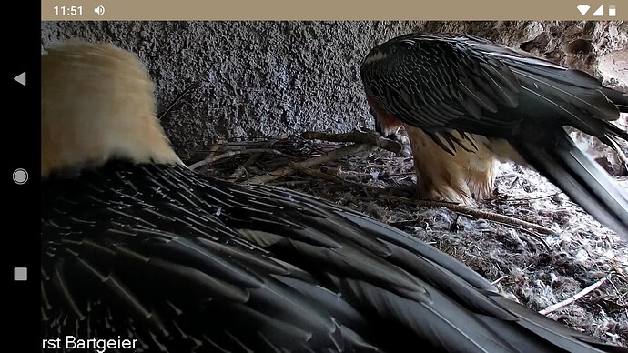 Screenshot_20220925-115116