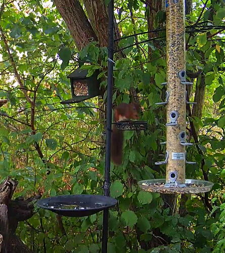 Snap_2022.08.19_16h47m12s_008_