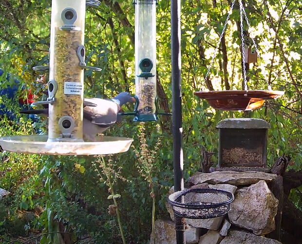 Snap_2022.08.07_19h19m47s_023_