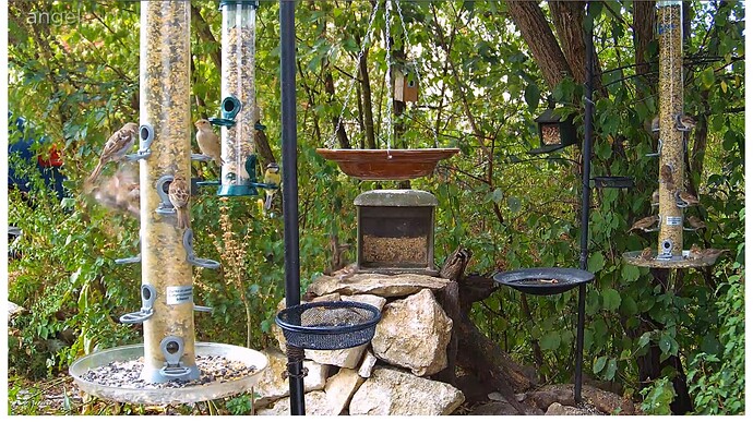 26450DEA-4083-4321-85CD-249620C73E2A 2