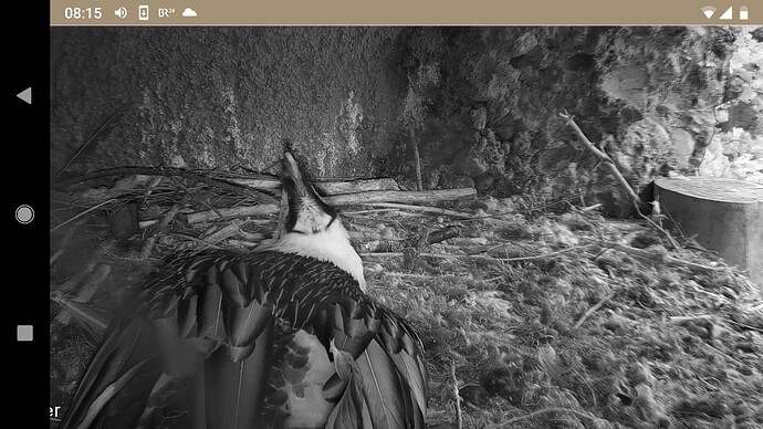 Screenshot_20221001-081538