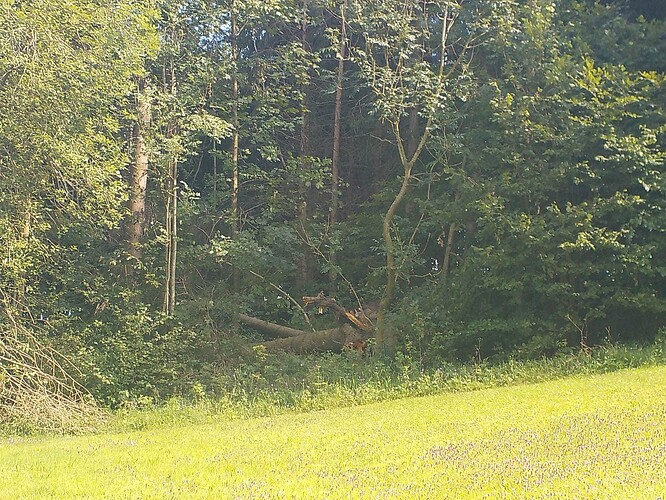 DSCN3592