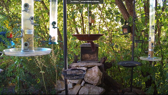 Snap_2022.08.09_18h36m04s_022_