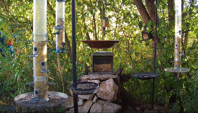 Snap_2022.08.14_18h31m27s_006_