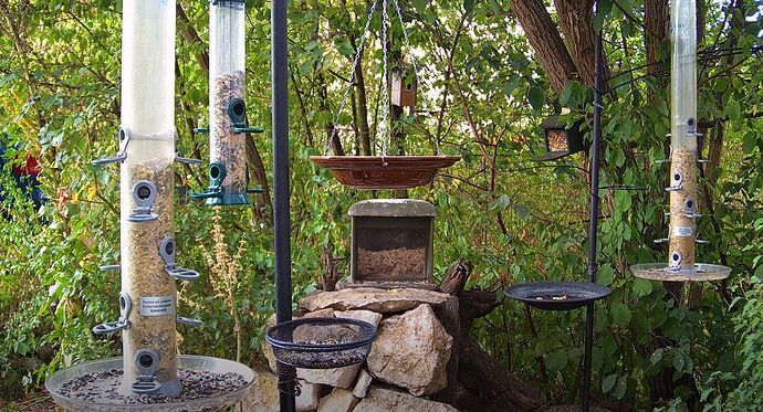 Snap_2022.08.15_09h13m22s_006_