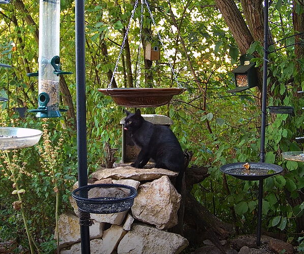 Snap_2022.08.08_06h36m39s_006_