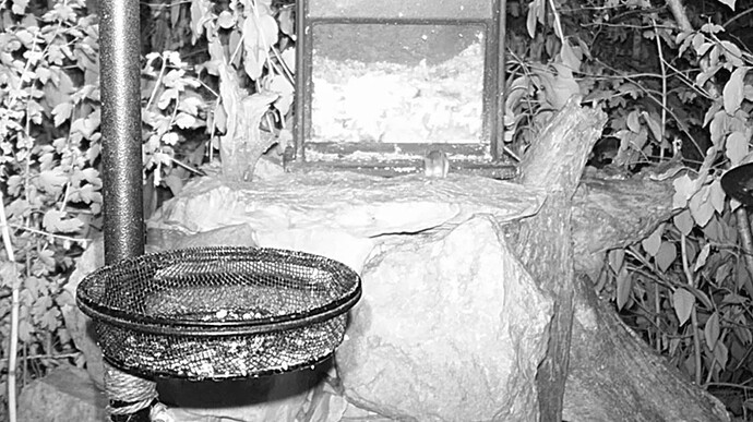 885B8A26-6532-43C5-867E-19F1018CD9C6 2