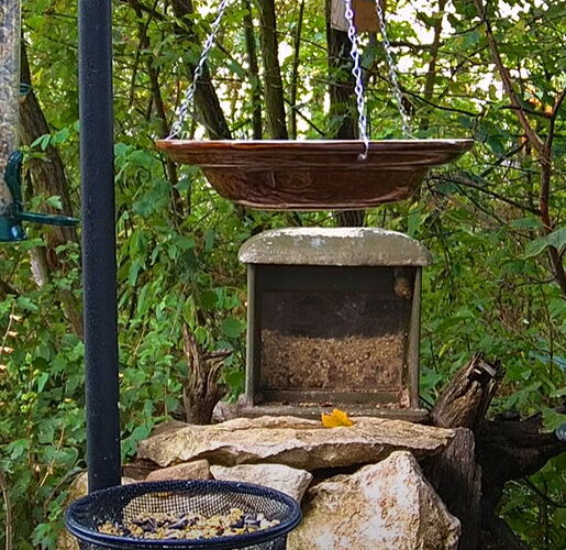 Snap_2022.08.21_06h55m33s_001_