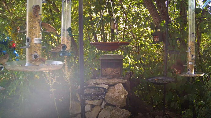 Snap_2022.08.07_17h53m39s_022_