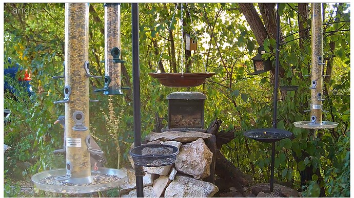 7DBC4764-54BC-49E8-9ABF-BFB39B8EF3DC 2