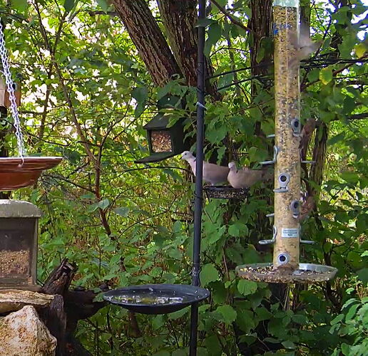 Snap_2022.08.20_12h46m50s_008_