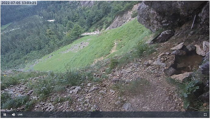 Snap_2022.07.05_13h03m48s_034_