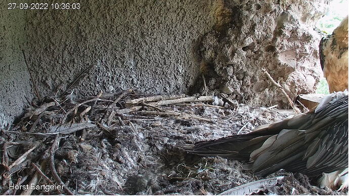 Snap_2022.09.27_10h36m53s_003_