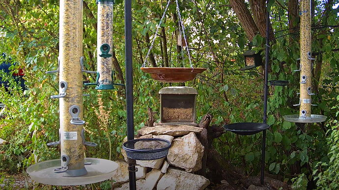 Snap_2022.08.16_11h23m48s_010_