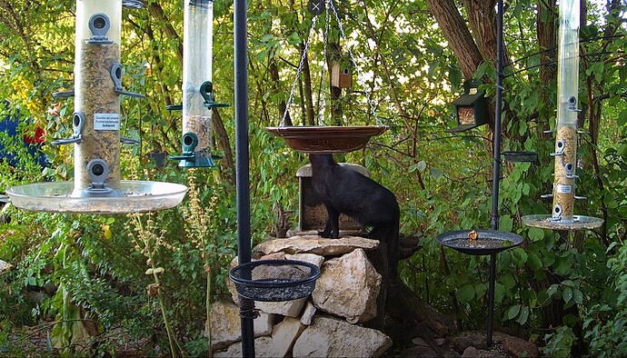 Snap_2022.08.08_06h35m59s_004_