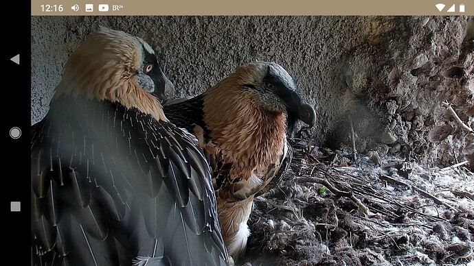 Screenshot_20221012-121614