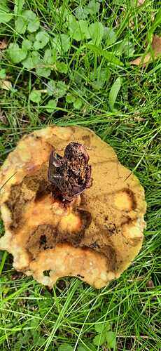 WhatsApp Image 2022-09-06 at 14.09.30