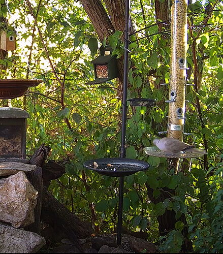 Snap_2022.08.04_18h45m23s_025_