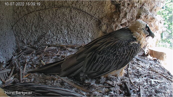 Snap_2022.07.10_15h10m05s_030_