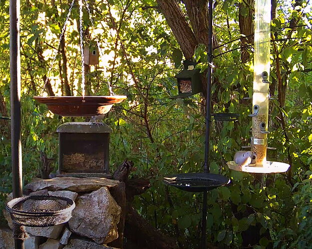 Snap_2022.08.08_19h31m13s_019_