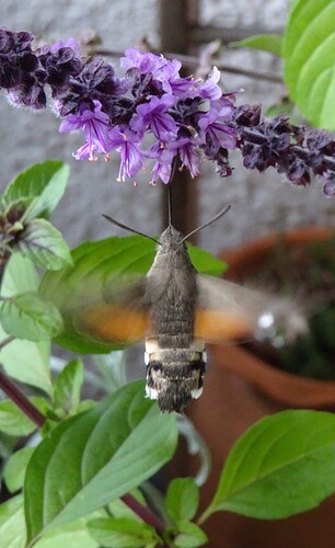 Screenshot_20220924-172854_Gallery