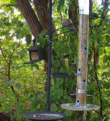 Snap_2022.08.05_16h09m53s_014_