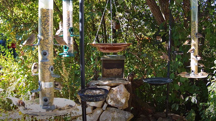 Snap_2022.08.13_10h12m59s_002_