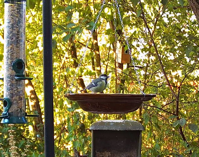 Snap_2022.08.11_07h38m34s_002_