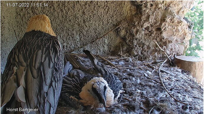 Snap_2022.07.11_11h51m54s_003_