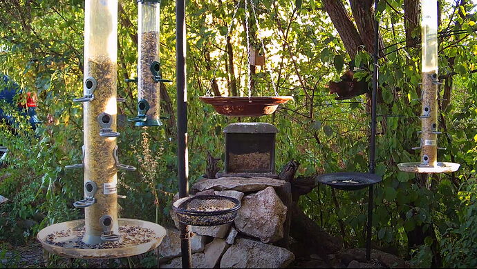 Snap_2022.08.13_19h25m27s_010_