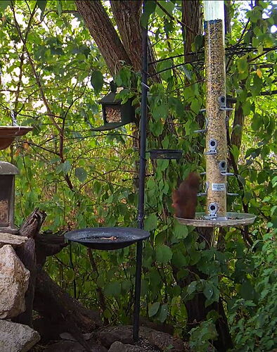 Snap_2022.08.18_17h04m29s_008_