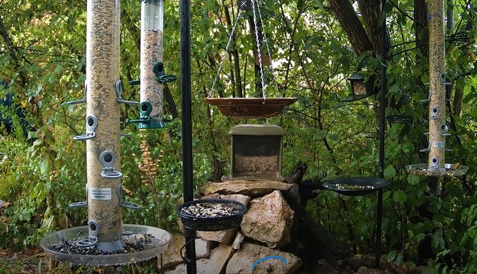 Snap_2022.08.20_06h32m22s_002_