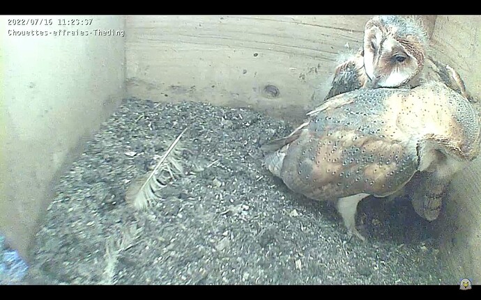 Bildschirmfoto 2022-07-16 um 11.27.07