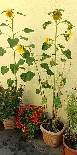 20220724_104542_HDR