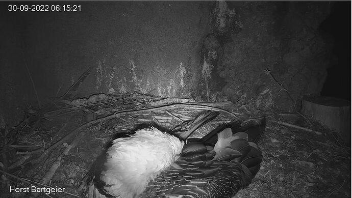 Snap_2022.09.30_06h16m08s_001_