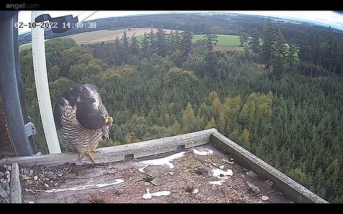 Screenshot_20221002-154105_Chrome